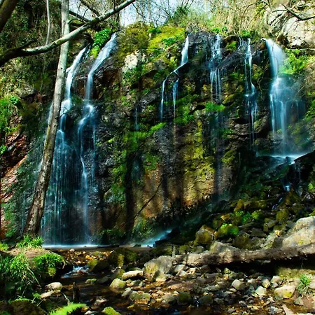 La De La Losa * Oviédo