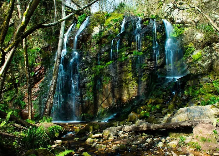 La De La Losa * Овьедо