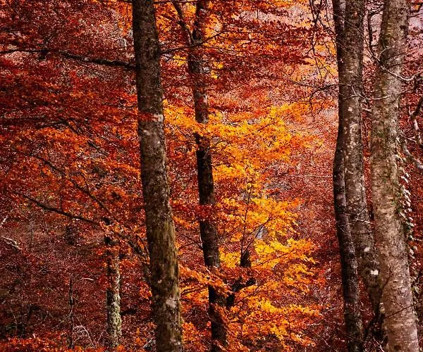 Апартаменты La De La Losa